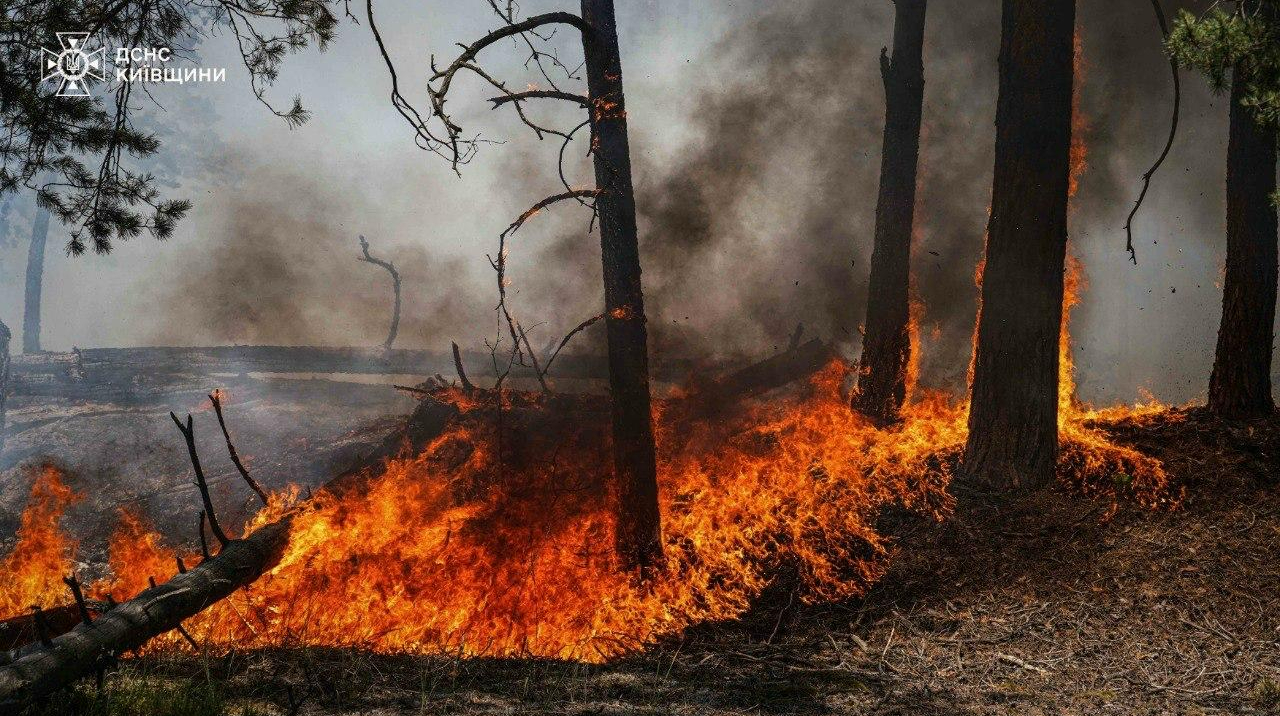 У лісах Чорнобильської зони відчуження триває гасіння пожежі