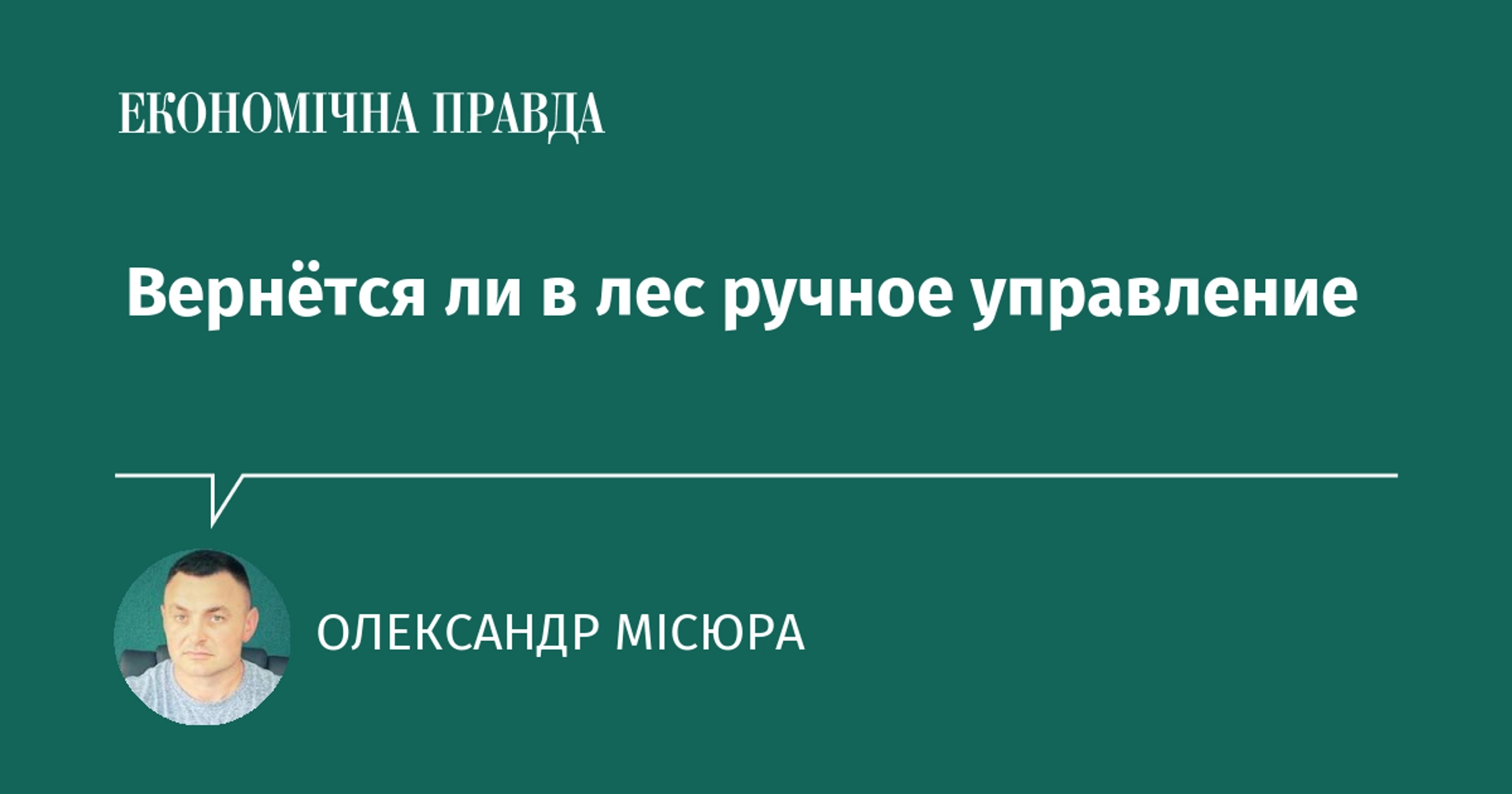 Лесная реформа не должна вернуться к ручному управлению